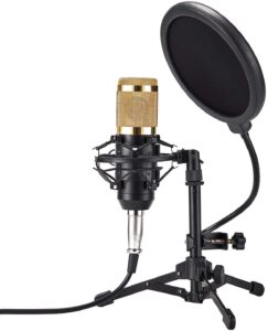 An image of the Zingyou ZY-801 Condenser Microphone Set with a stand and a pop filter.
